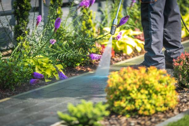 Best Pool Deck Cleaning  in Belleair, FL