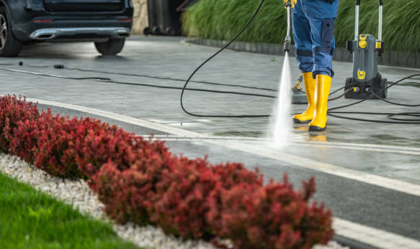 Best Graffiti Removal  in Belleair, FL